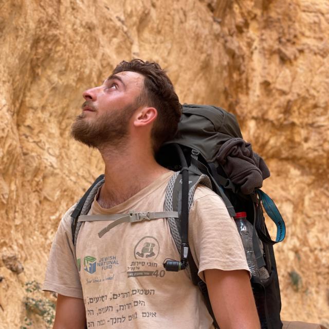 אילי אופיר